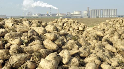 PHILIPPE MONTIGNY/FILIMAGES